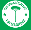 LOGO SECTION SPECIALISEE